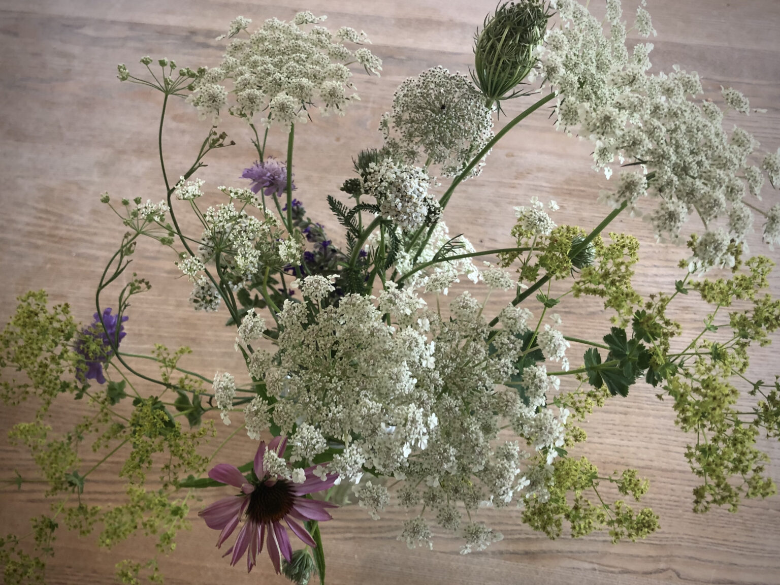 vilde blomster i vase