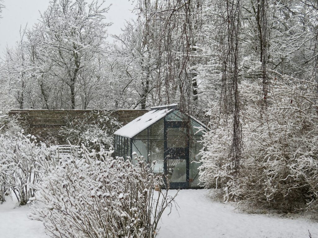 Drivhusliv